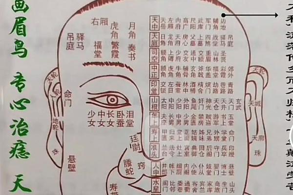 男痣相脸大全(男人面相痣的图片大全 图解 解说) 男痣相脸大全(男人面相痣的图片大全 图解 解说)