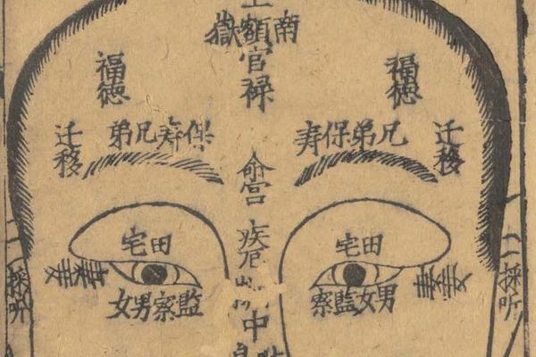麻衣神相痣图解女怎么看(麻衣神相看女人面相)