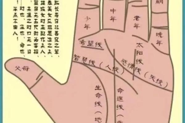 男人手部痣相解析-手掌痣相图解 男人手部痣相解析-手掌痣相图解