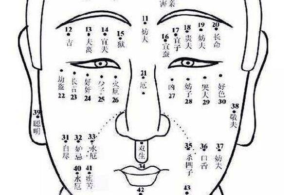 麻衣神相右眉中痣(痣相口诀)