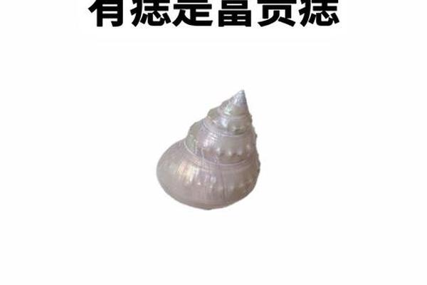 婚后易出轨女人痣相;女人婚姻不顺的痣