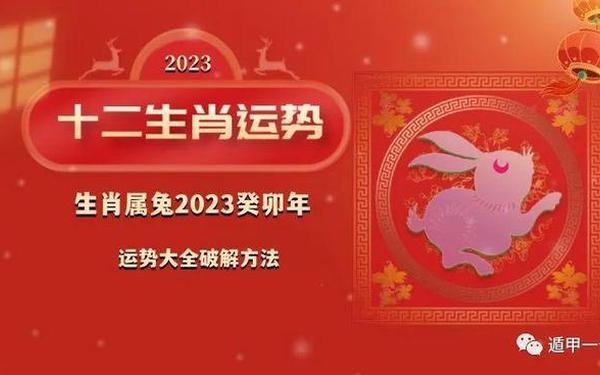1999年属兔多少岁 1999年属兔多少岁