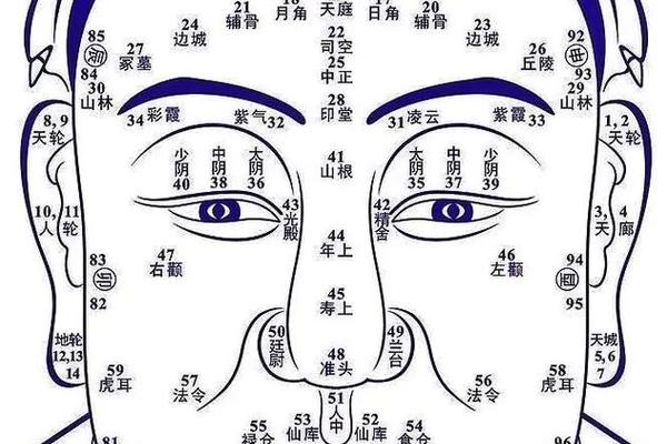脸痣图相解图片男人_男人脸痣图解大全