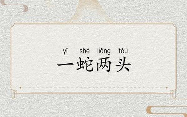 蛇和谁是天生一对 蛇和谁是天生一对