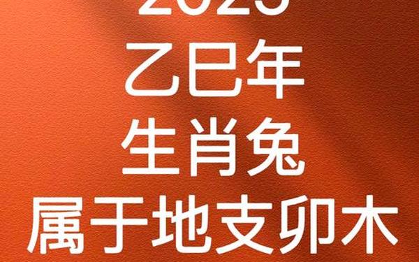2025年兔子(2025年的兔子运势) 2025年兔子(2025年的兔子运势)