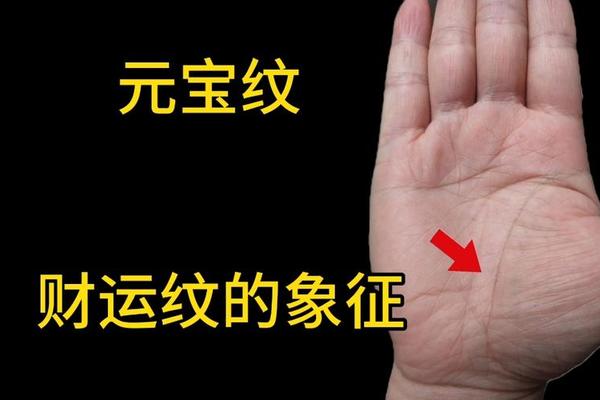 元宝纹掌相两只手都有痣(手心掌纹有个元宝一样的)