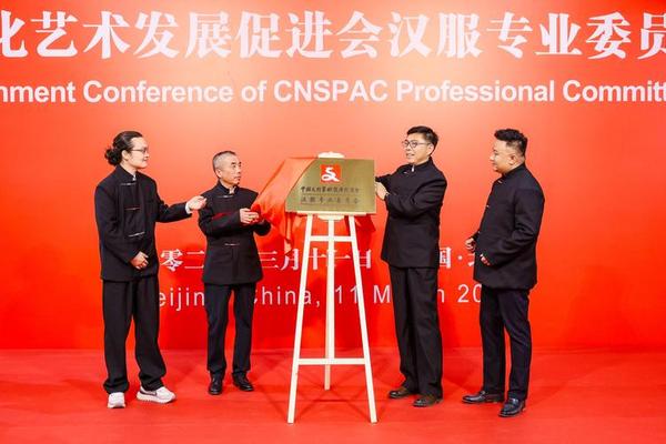 传统艺术文化促进会 传统文化促进会工作怎么样 传统艺术文化促进会 传统文化促进会工作怎么样