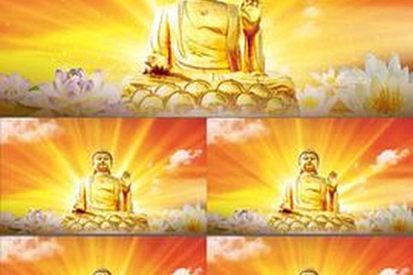 佛教文化视频;佛教视频网