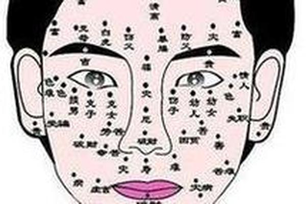 脖子与脸部痣相解说图;脖子的痣解说图 脖子与脸部痣相解说图;脖子的痣解说图