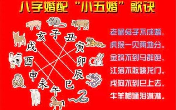 属虎的和属虎的婚配合适吗(虎跟虎属相合不合) 属虎的和属虎的婚配合适吗(虎跟虎属相合不合)