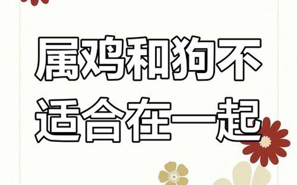 属鸡和属狗的婚配好不好,93鸡和82狗相差11岁合不合 属鸡和属狗的婚配好不好,93鸡和82狗相差11岁合不合