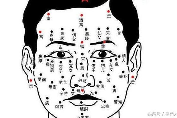 手背有痣相大全;手掌痣相图解 手背有痣相大全;手掌痣相图解
