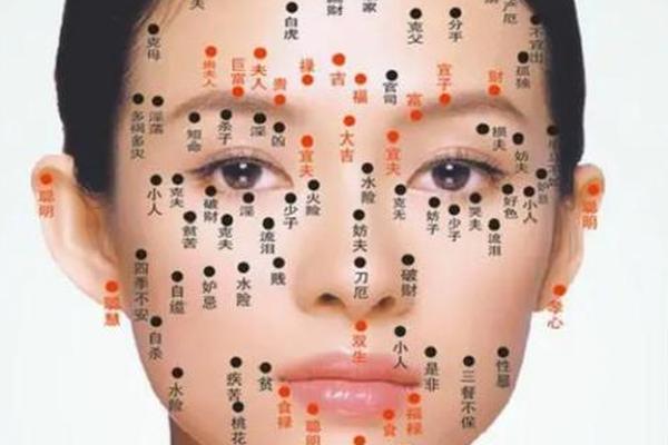 嘴上有痣图解女人痣相(女人嘴边的痣图解 解大全)