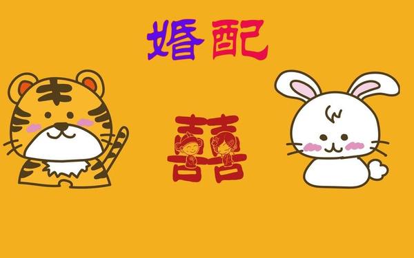 属兔和属虎的人在一起合不合财 属兔和属虎的人在一起合不合财