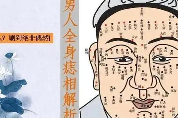 体力充沛的男人痣相,男人有巨富痣的位置图