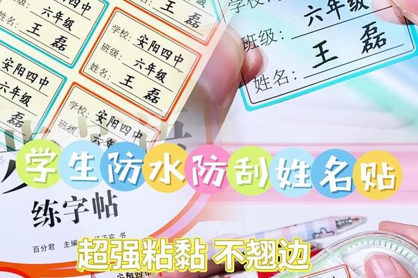 带有照片的姓名和年级的姓名贴