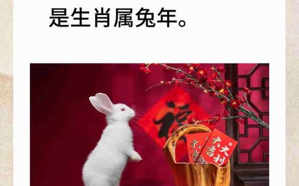 属兔哪一年出生的-属兔的人几几年生 属兔哪一年出生的-属兔的人几几年生