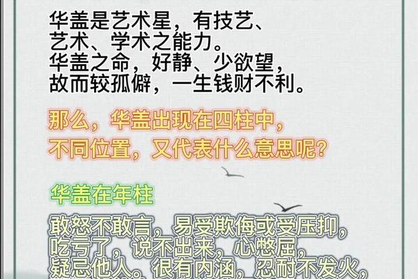 八字华盖是什么意思