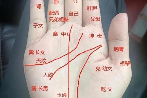 手相和痣相更准,手相准还是面相准