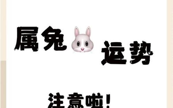 2025属兔人躲不掉的事 2025属兔人躲不掉的事