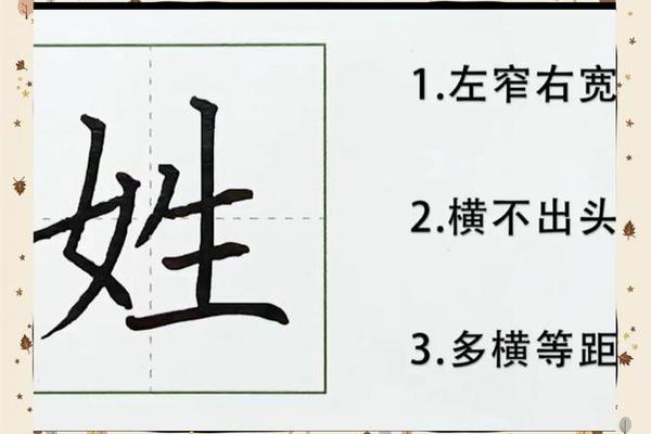 姓名姓名的姓的笔顺