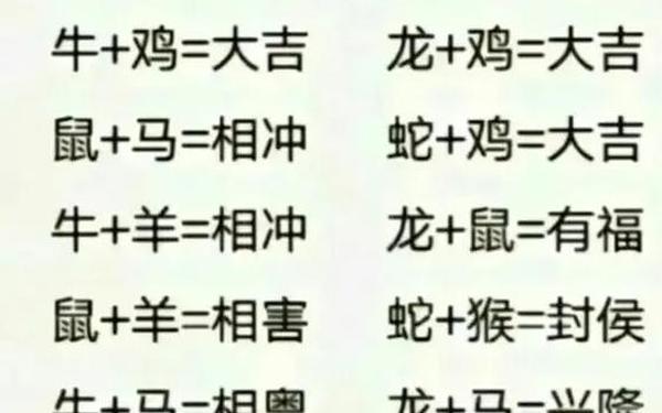 牛马属相相冲吗_97牛02马婚配为大忌 牛马属相相冲吗_97牛02马婚配为大忌