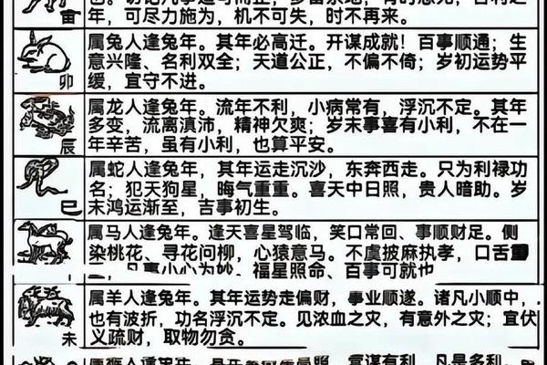 鼠在兔年运势2023运势详解