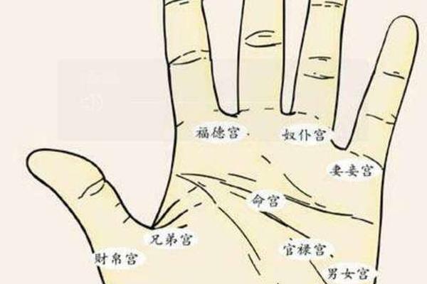 手痣相右手(手上有痣图解)