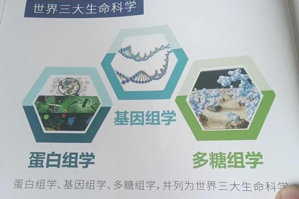 文化基因库 中国的三大基因库