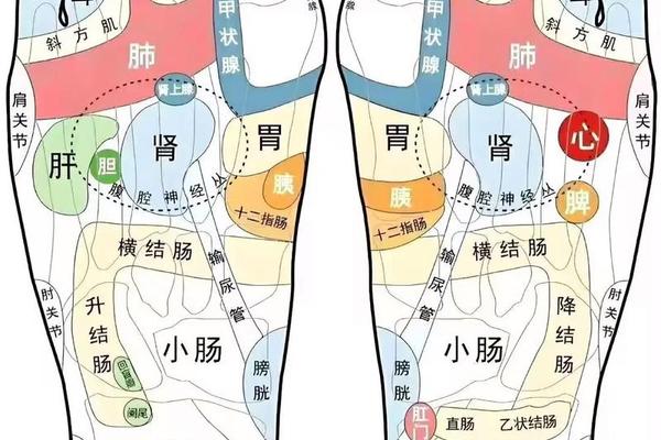 脚底痣相大全图解 脚底心痣相图解 脚底痣相大全图解 脚底心痣相图解