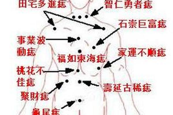 男生全身痣一相全解,人体全身痣相图解 男生全身痣一相全解,人体全身痣相图解