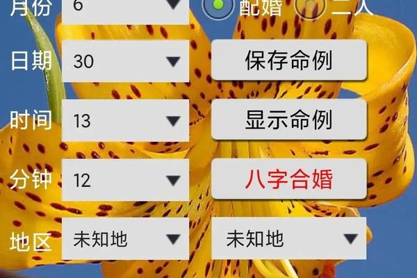 算八字的app