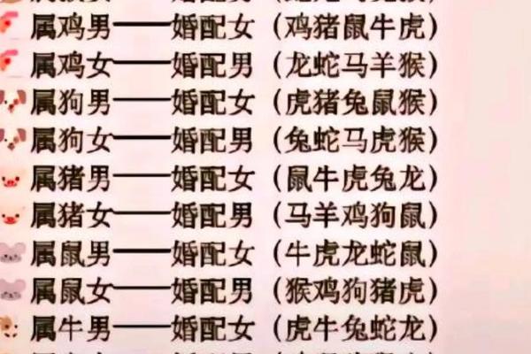 1995猪女1996男鼠婚姻相配吗
