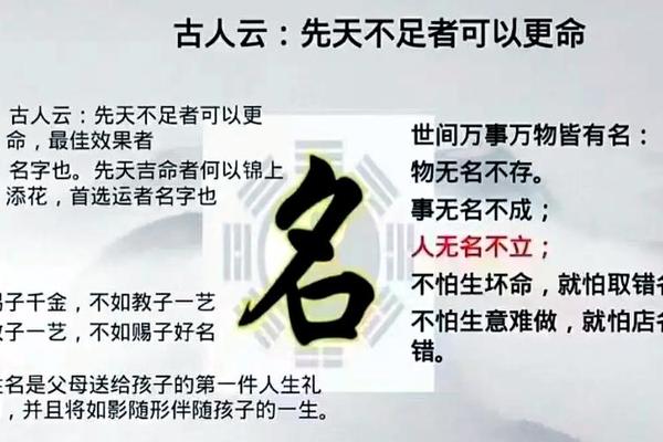 姓名有英