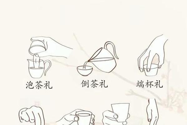 茶文化礼仪的基础知识合集_茶艺礼仪基本知识