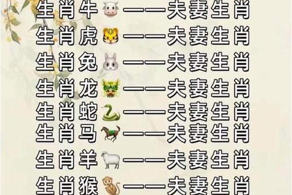 属鼠2023的婚姻与爱情如何