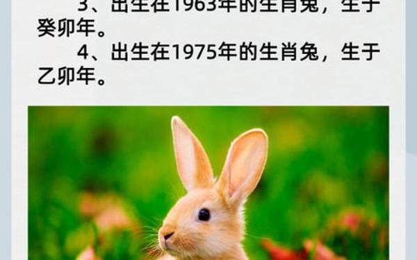 1939年属兔人多少岁寿终 1939年属兔人多少岁寿终