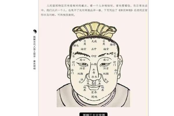 麻衣神相痣_麻衣神相 痣