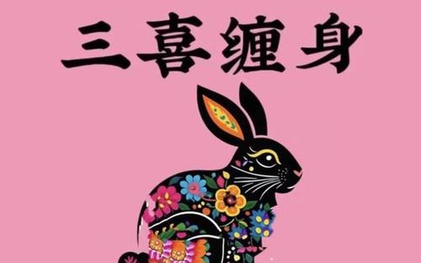 51岁属兔的今年的运气怎么样 51岁属兔的今年的运气怎么样