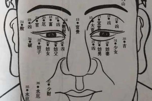 男士身上最好的16痣相;男生面部痣相图解大全 男士身上最好的16痣相;男生面部痣相图解大全