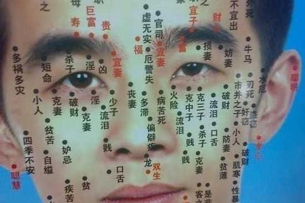 必定巨富的痣相-巨富痣大概在什么位置 必定巨富的痣相-巨富痣大概在什么位置