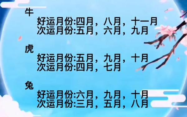 属兔2025横财在几月 属兔2025横财在几月