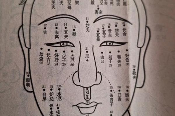 胡志莉痣相—女人痣相图解最准