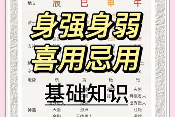 八字身强什么意思