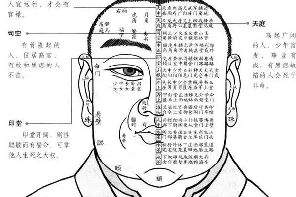 男孩头发里有痣相yue,男右鬓角头发里有痣图解