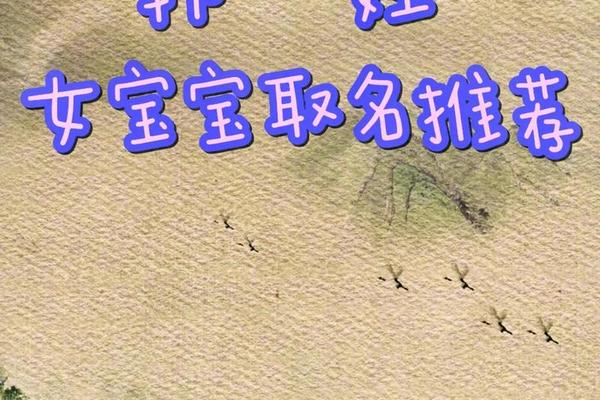 宝宝起名姓韩
