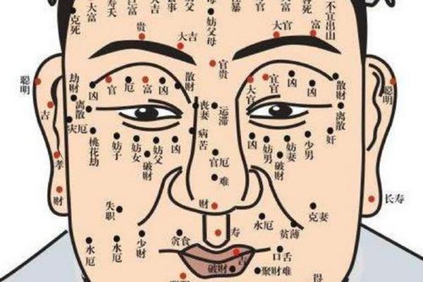 观相三颗痣 面部三颗痣呈现三角形 观相三颗痣 面部三颗痣呈现三角形