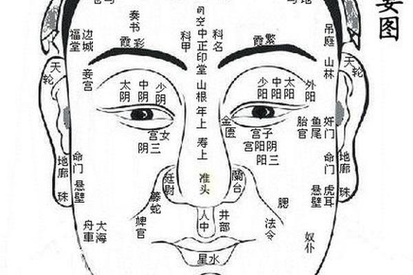 麻衣神相男人全身痣对照表(男生全身痣相图解大全) 麻衣神相男人全身痣对照表(男生全身痣相图解大全)