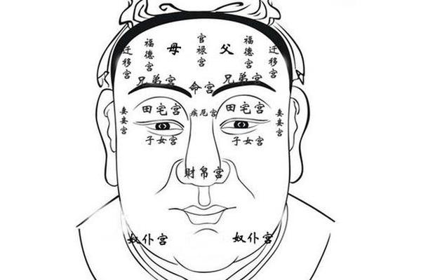 麻衣神相痣相图女;麻衣神相女人贵贱