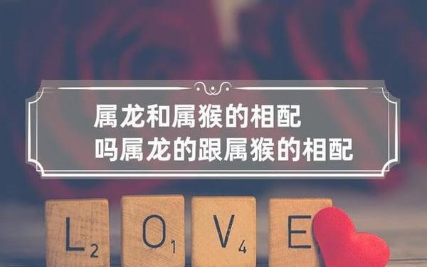 属猴和属龙的婚姻相配,92年猴女和88年龙男相配吗 属猴和属龙的婚姻相配,92年猴女和88年龙男相配吗